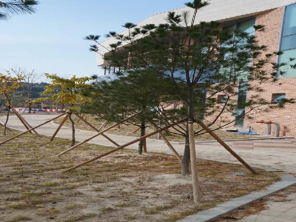대전보훈요양원 이미지 2
