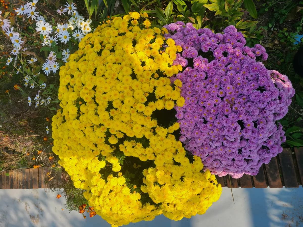 밝은빛요양원 이미지 1