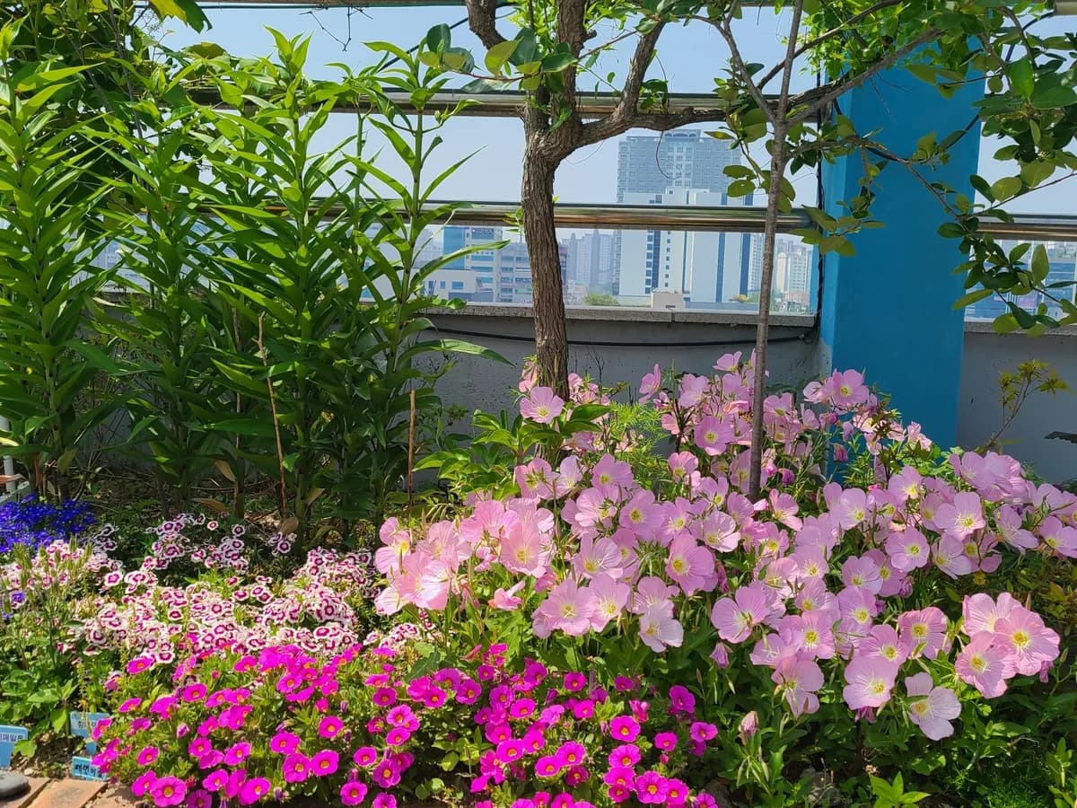 밝은빛요양원 이미지 2