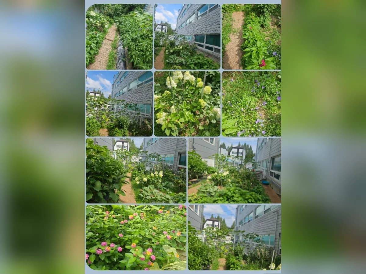 대덕요양원 이미지 3
