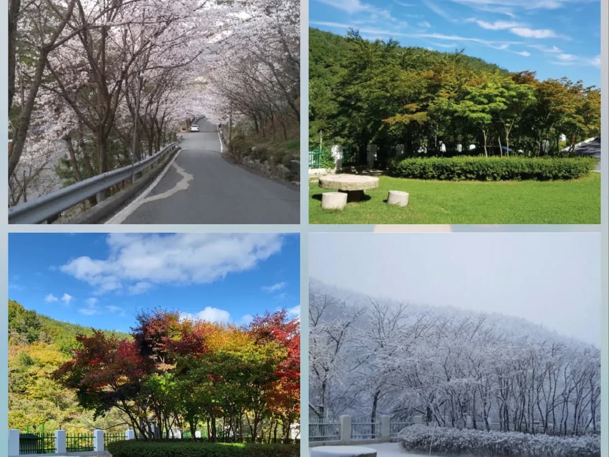 연화노인요양원 이미지 2