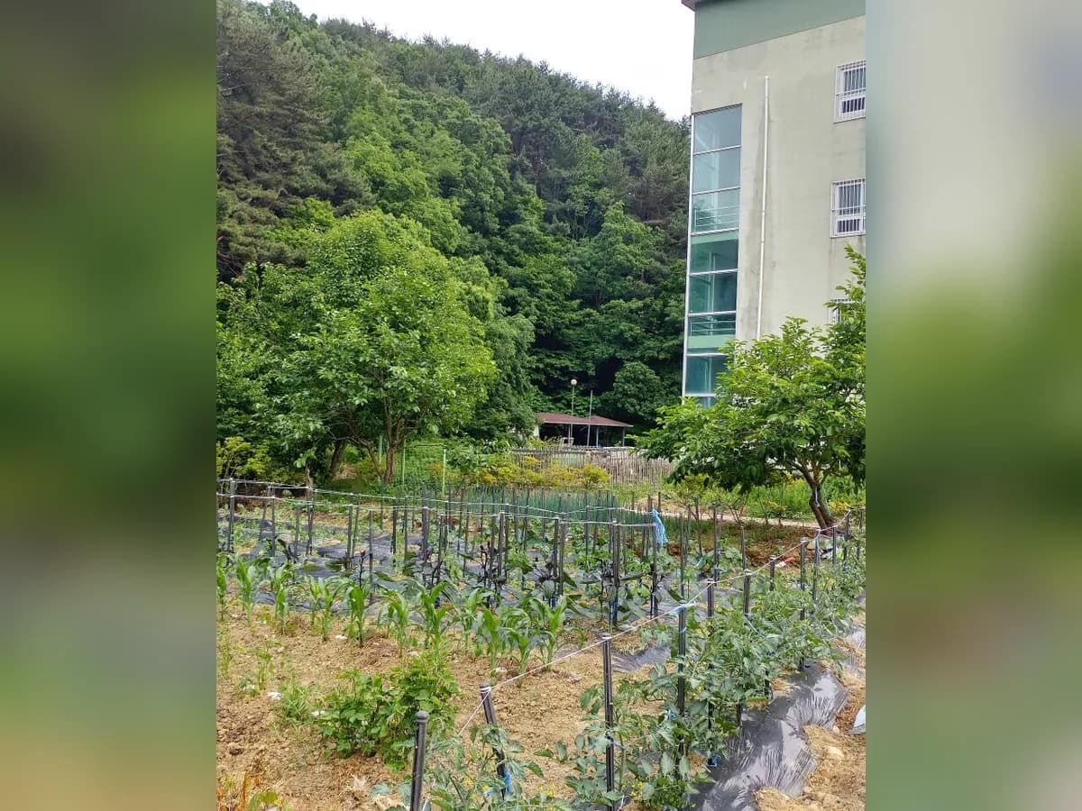 백양실버홈 전원생활어르신의집 이미지 5