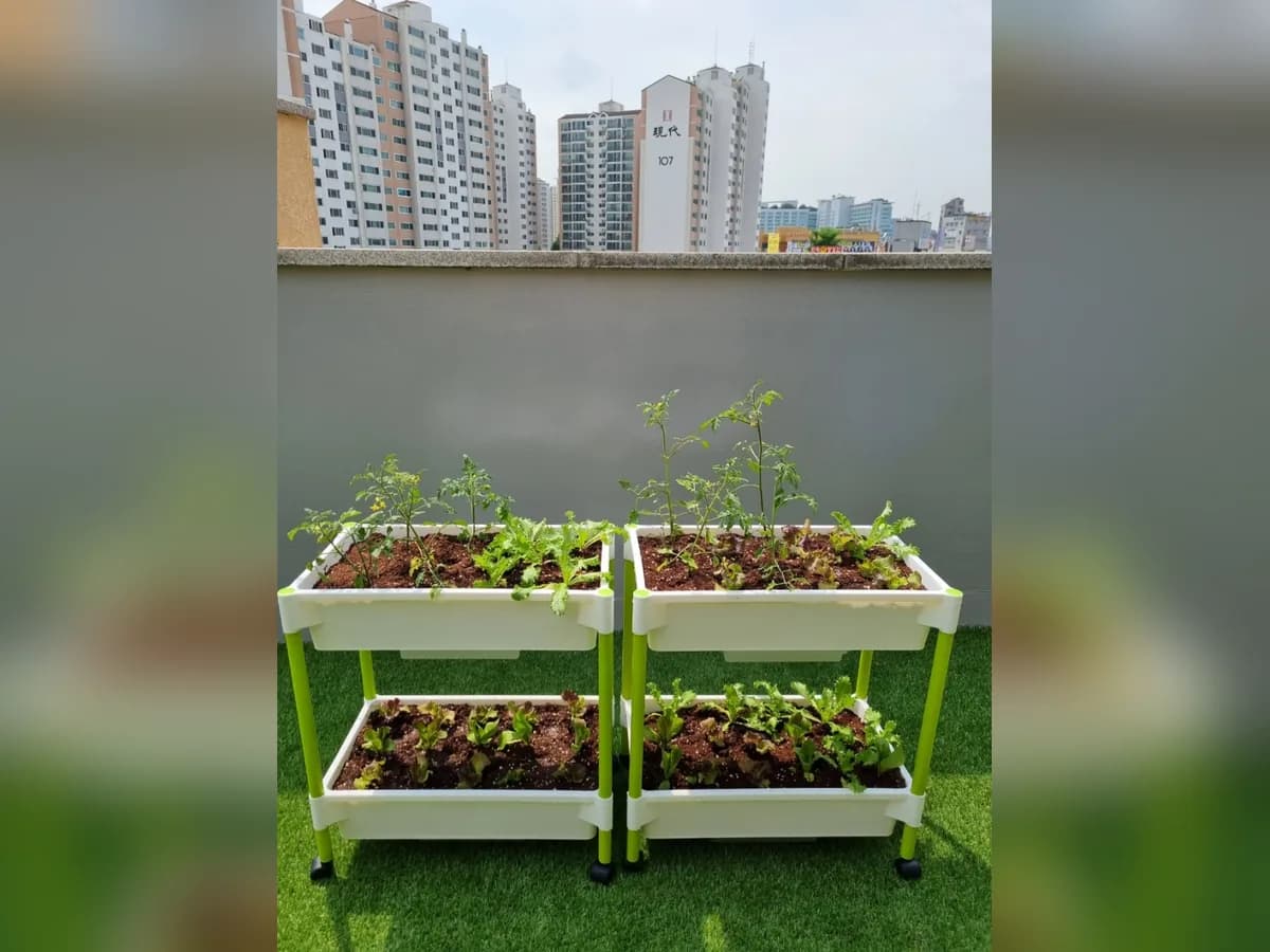 스텔라실버요양원영통점 이미지 8