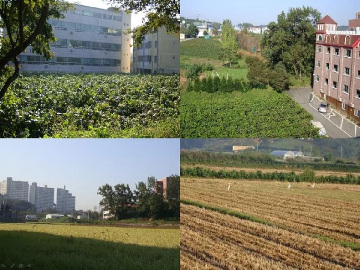 강남행복한요양원 이미지 2
