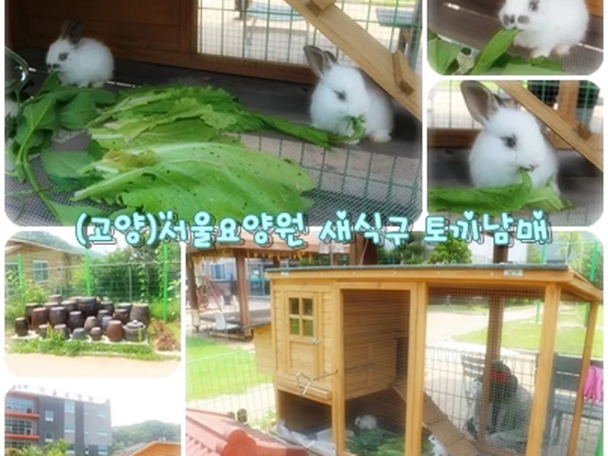 (고양)서울요양원 이미지 5