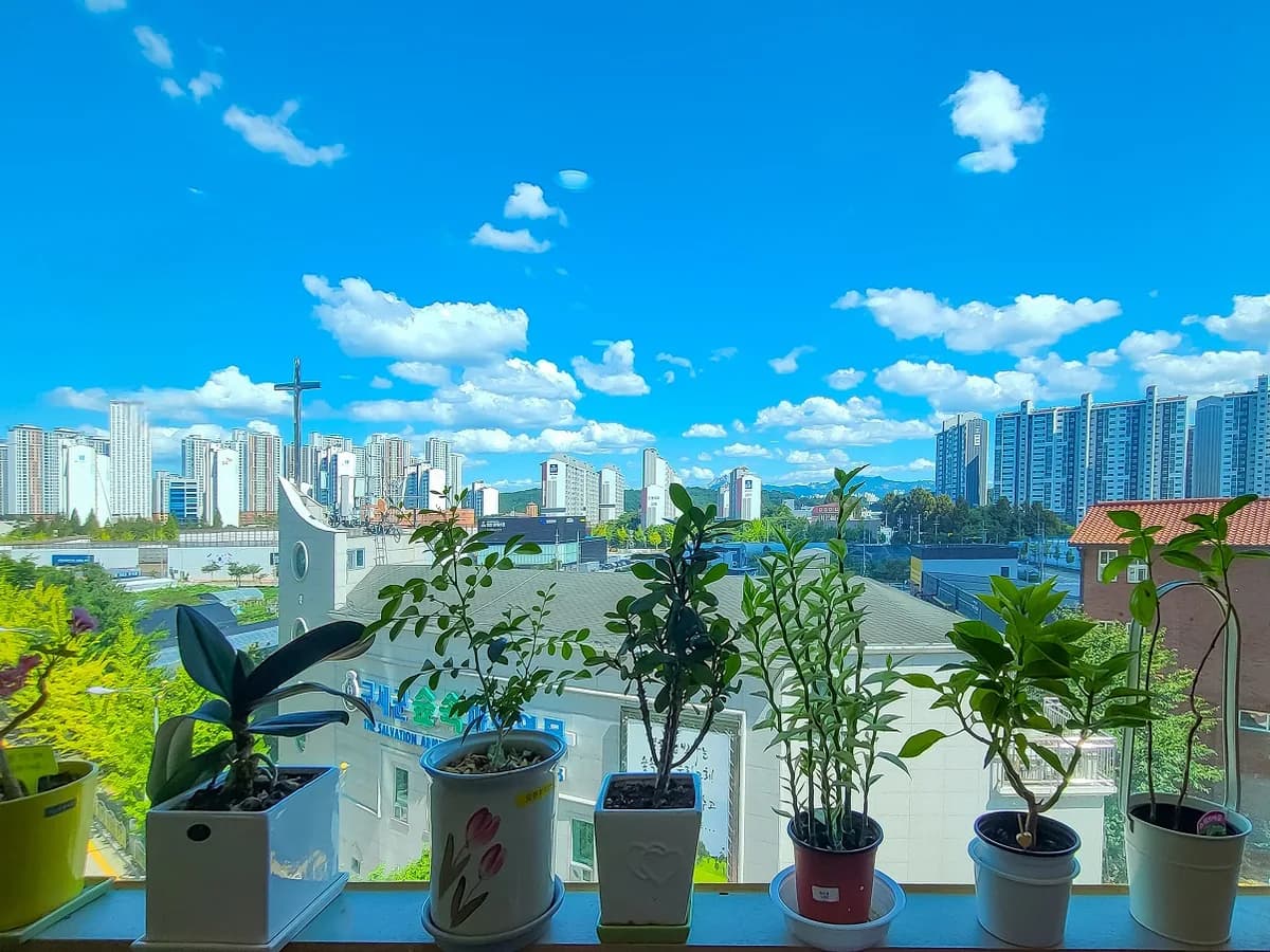 일산드림요양원 이미지 2