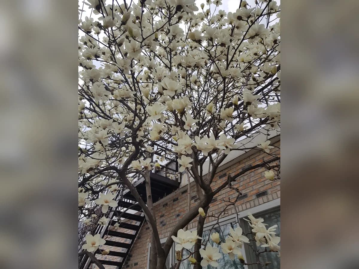 실로암요양원 이미지 7