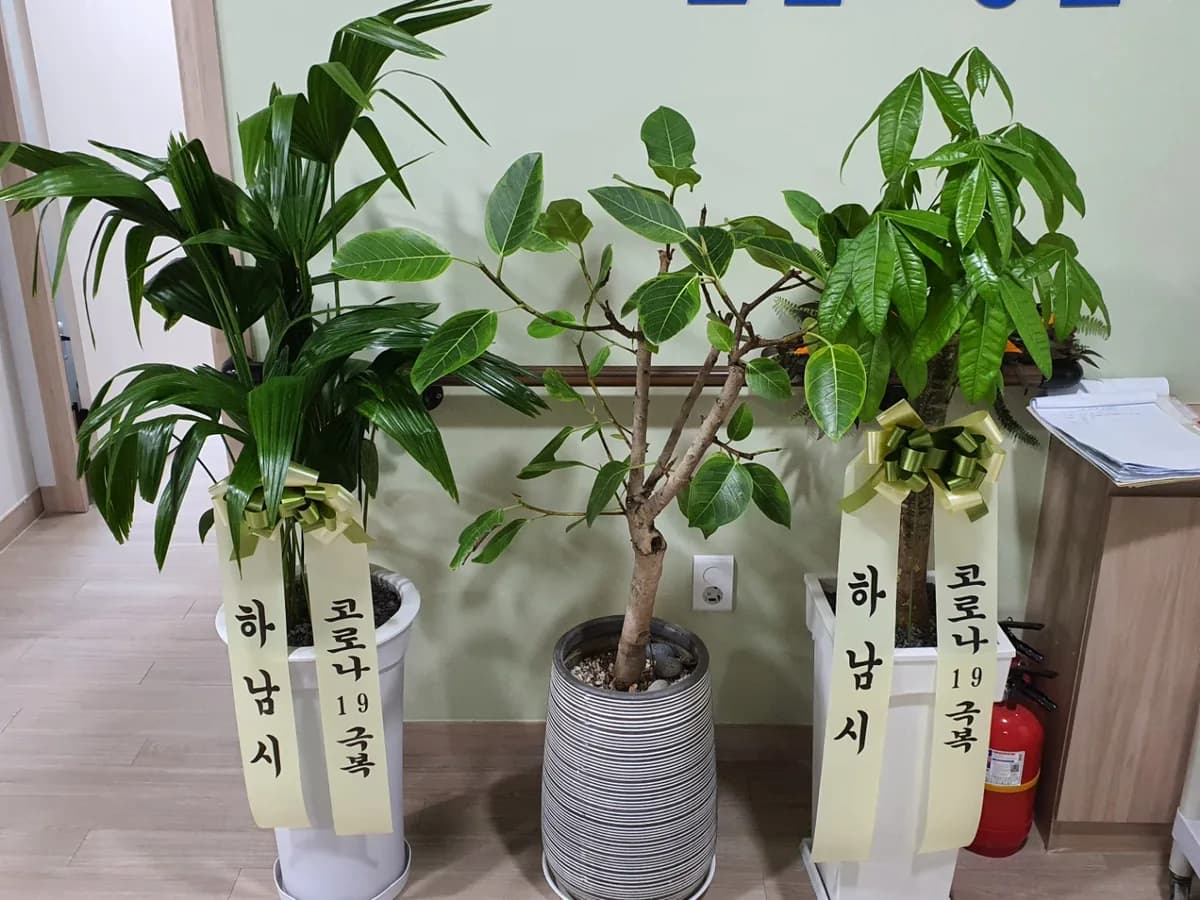 하남관심요양원 이미지 1