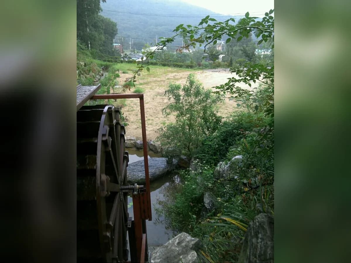 산호케어 이미지 3