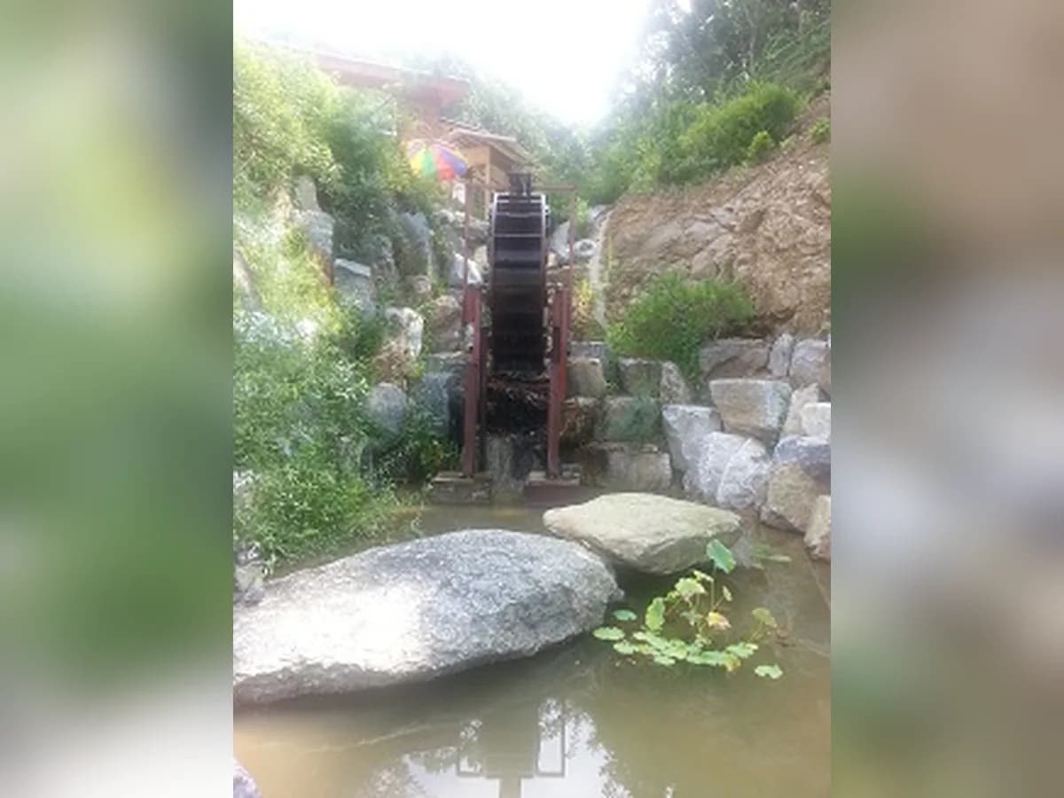 산호케어 이미지 4