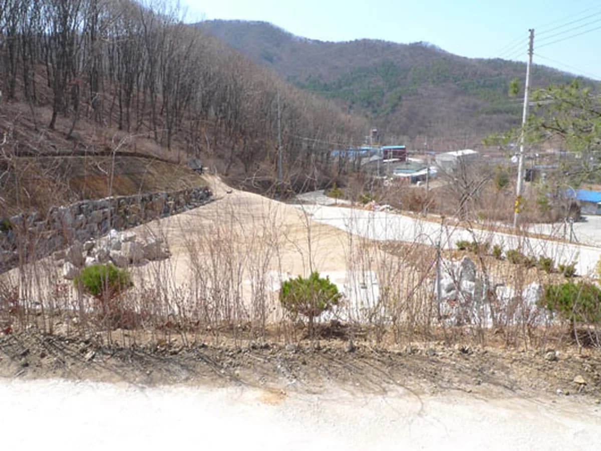 산호케어 이미지 6