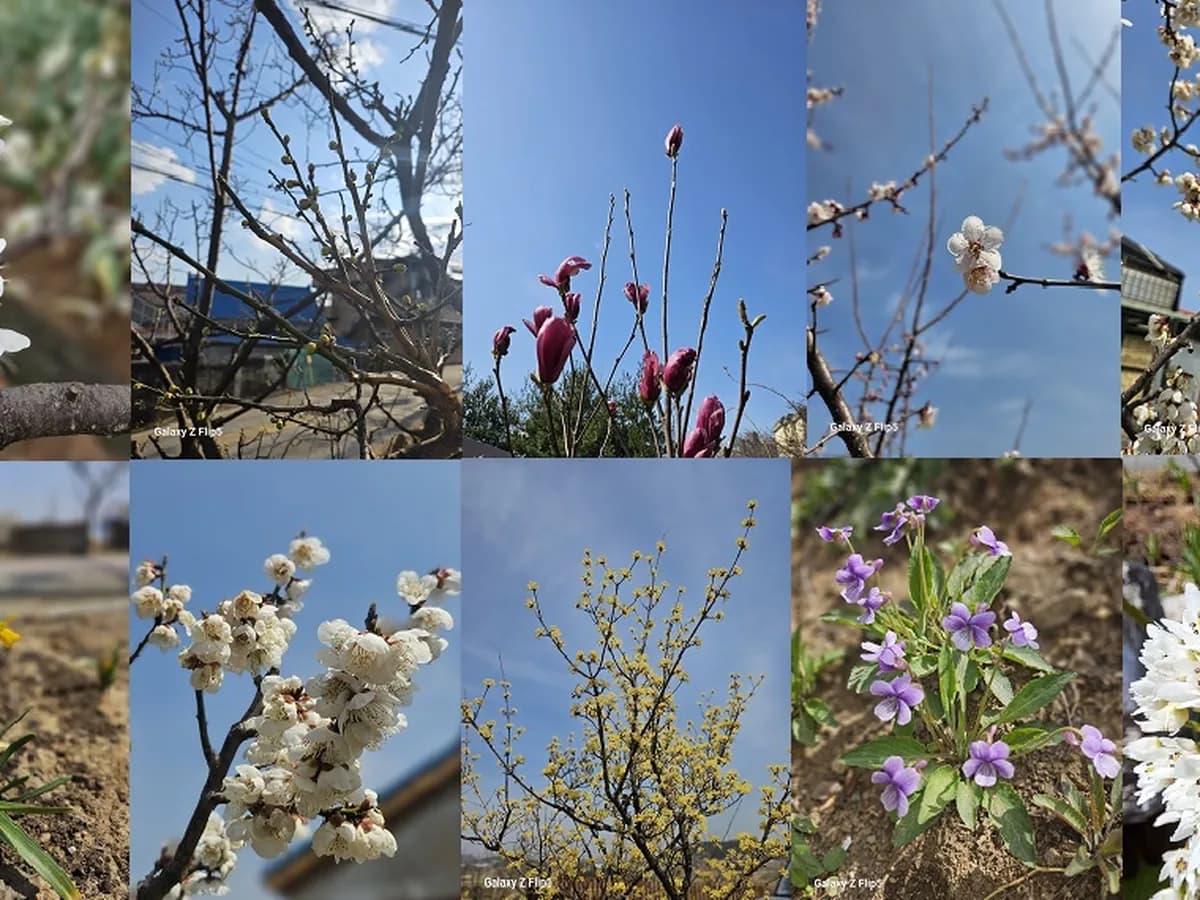 월롱패밀리 요양원 이미지 2
