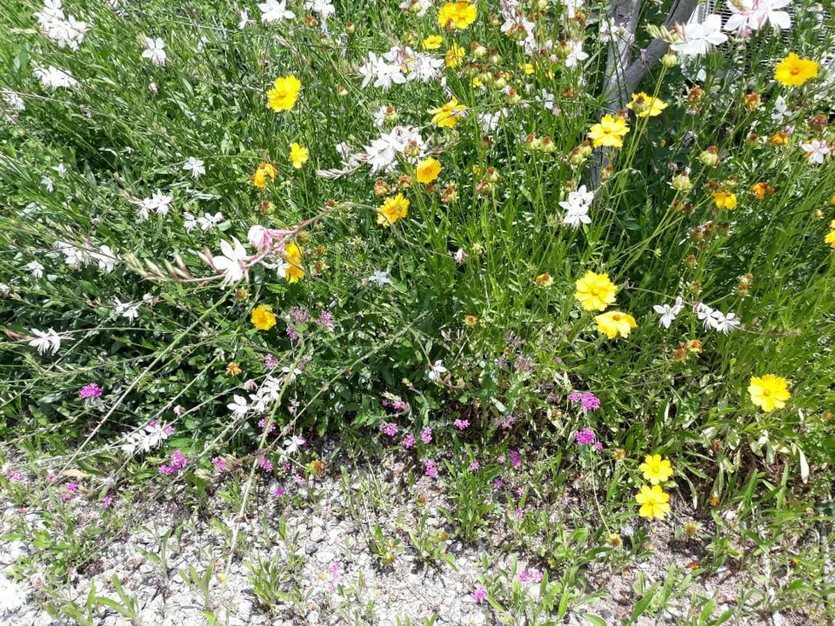 지성노인요양센터(본관) 이미지 2
