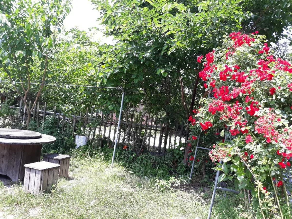 지성노인요양센터(본관) 이미지 3