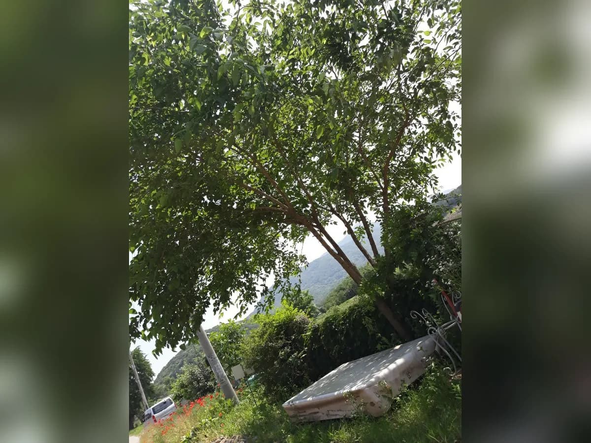 지성노인요양센터(본관) 이미지 5