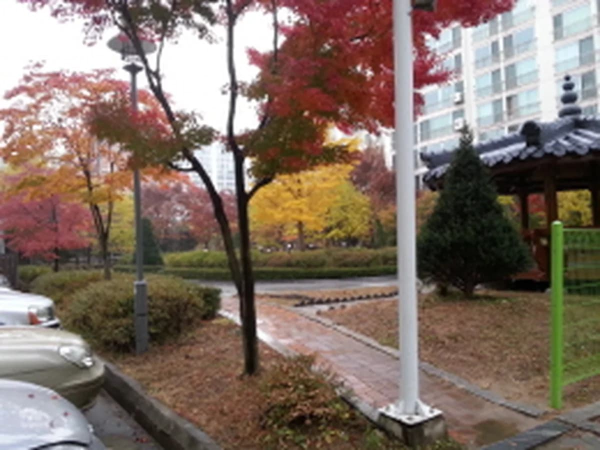 건강한 이미지 7