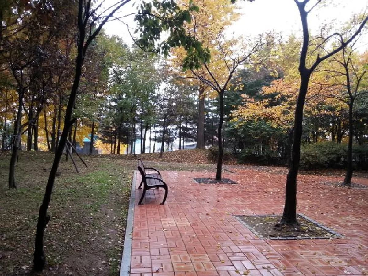 건강한 이미지 8