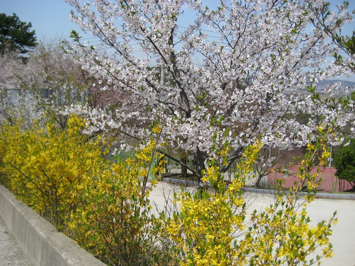 성민쉼터 이미지 6