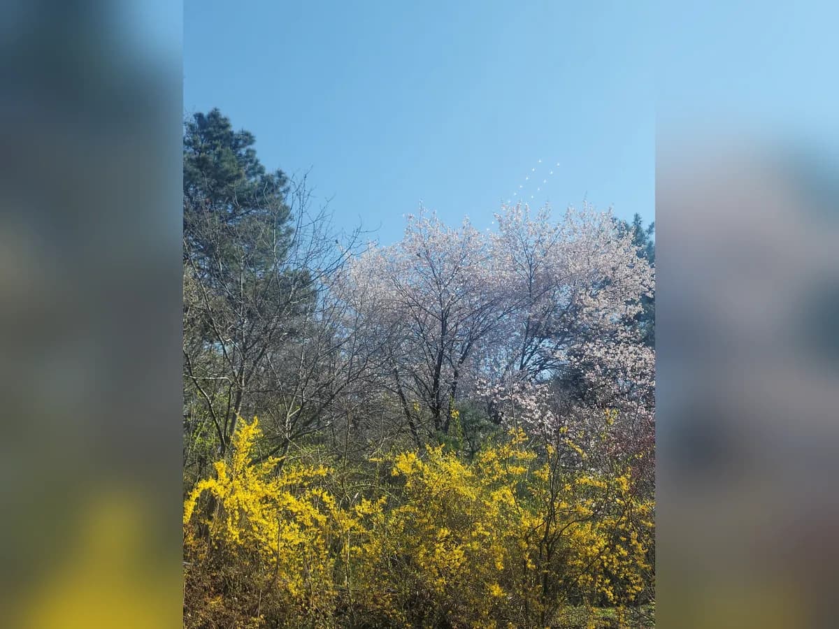 다사랑노인요양원 이미지 4