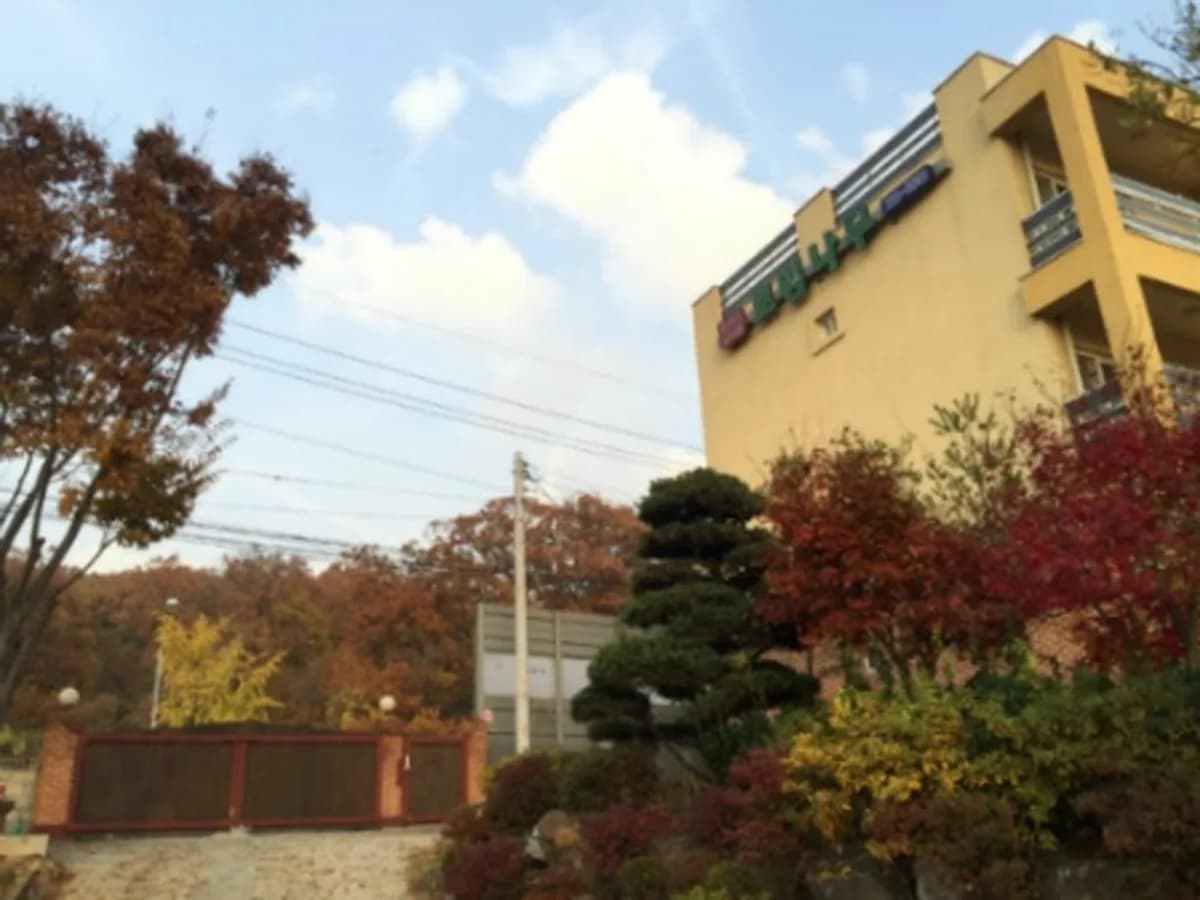로뎀나무 이미지 1