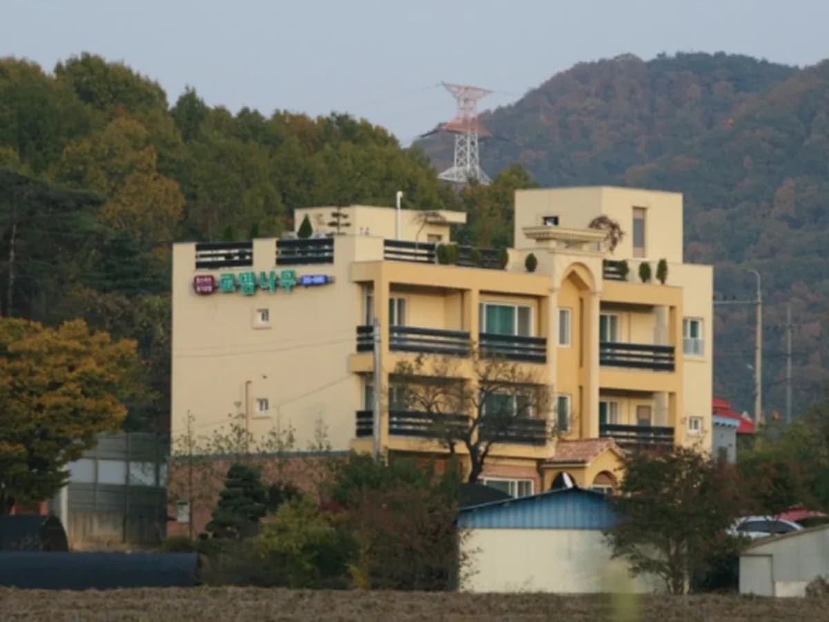 로뎀나무 이미지 7