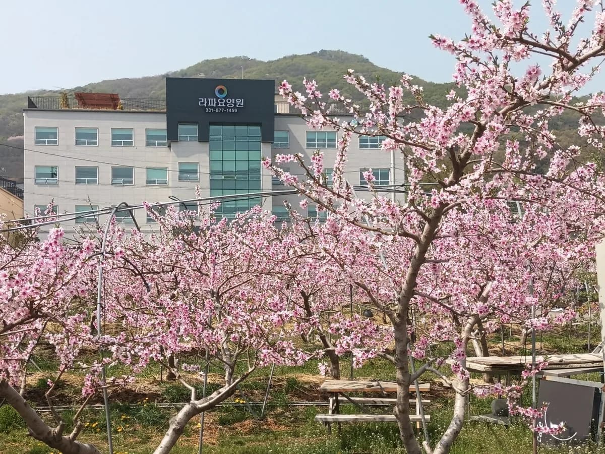 라파요양원 이미지 7