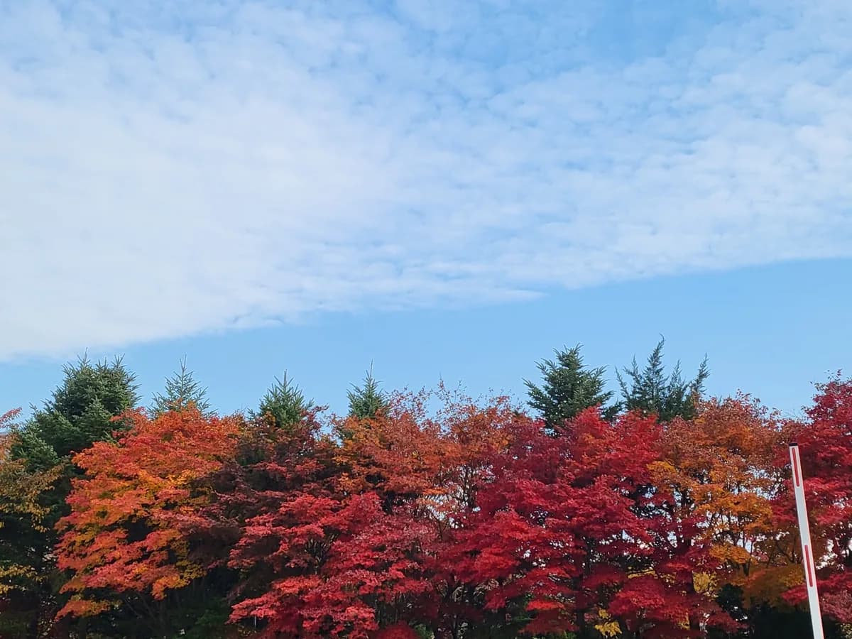 늘샘요양원 이미지 2