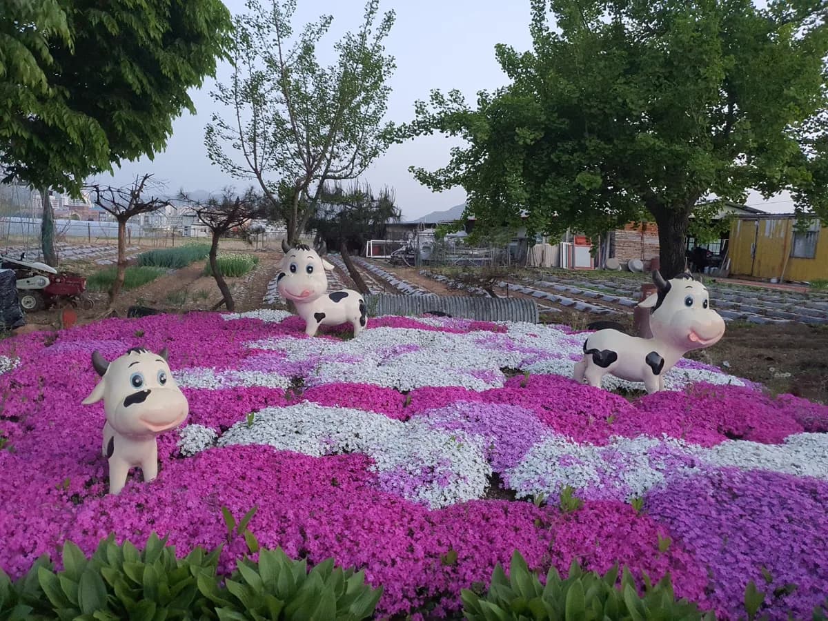 베이스캠프 이미지 4