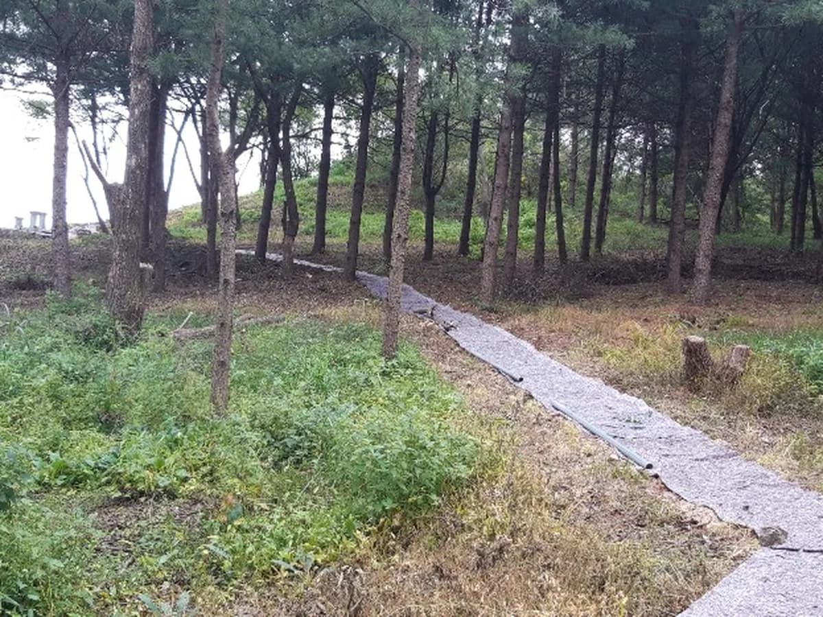 샬롬하우스요양원 이미지 1