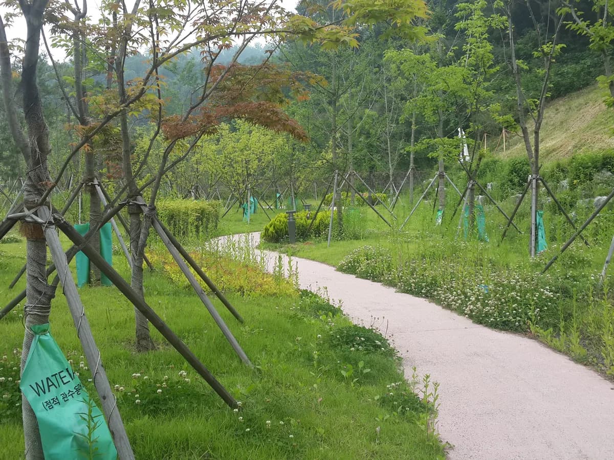 천사노인요양원 이미지 4