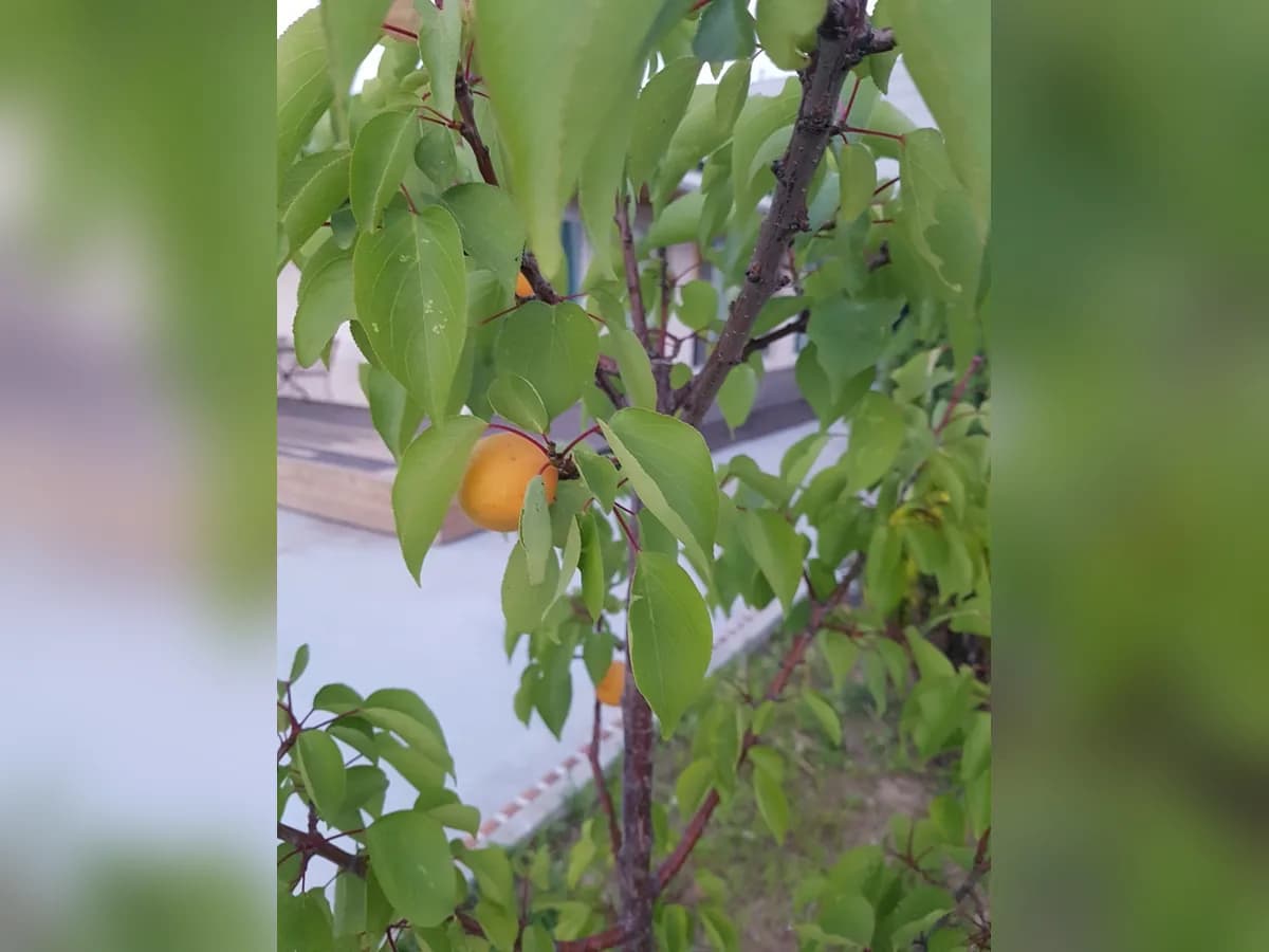 행복요양원 이미지 2