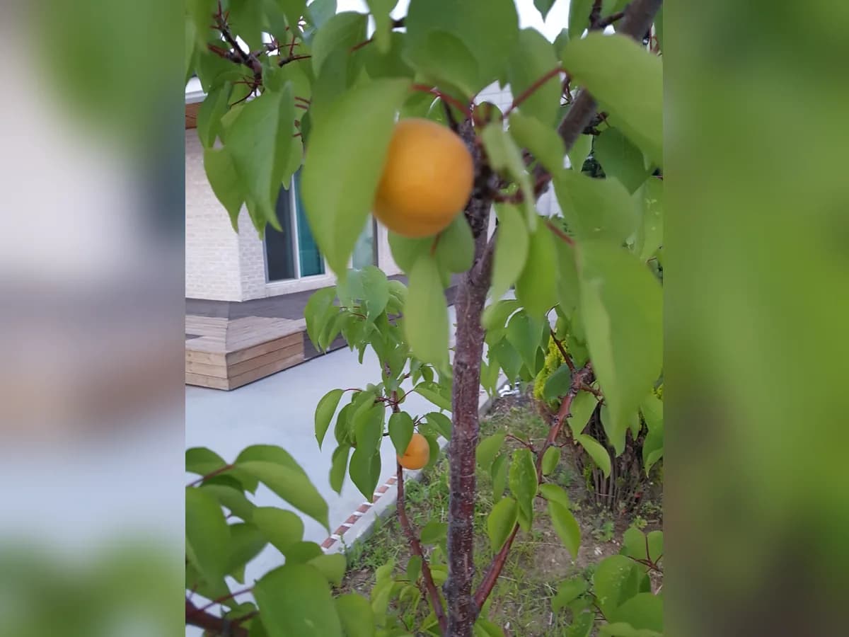 행복요양원 이미지 3