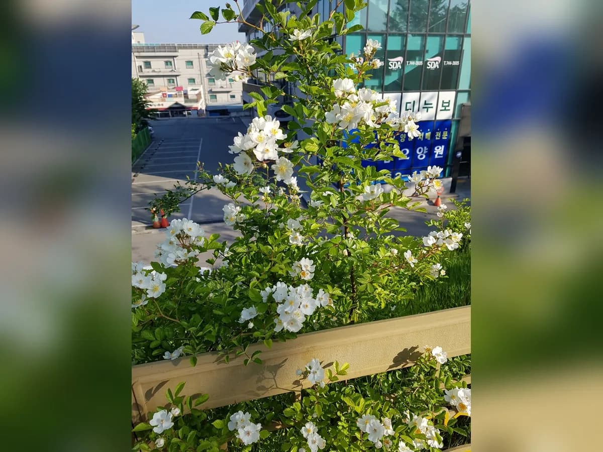 행복요양원 이미지 4