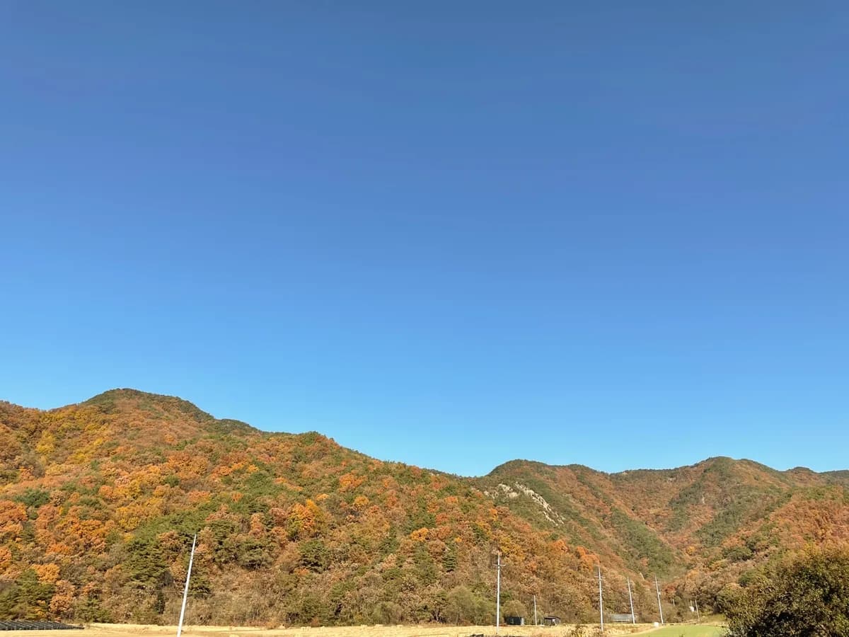 보은요양원 이미지 1