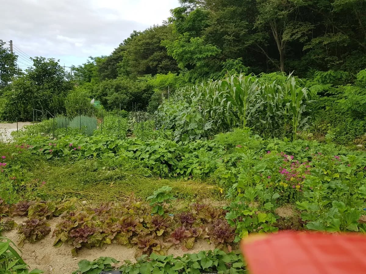 바울요양원 이미지 1