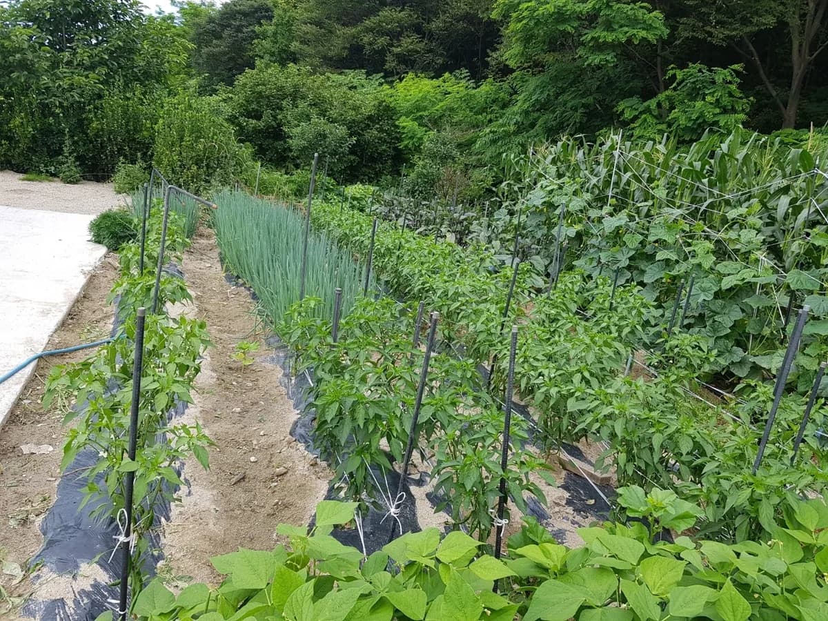바울요양원 이미지 2