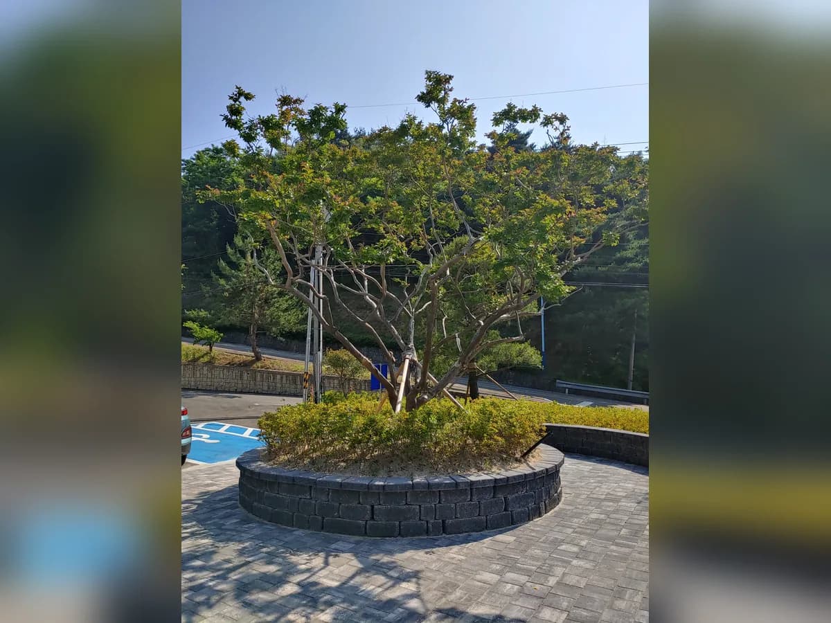 강릉부모사랑 이미지 3