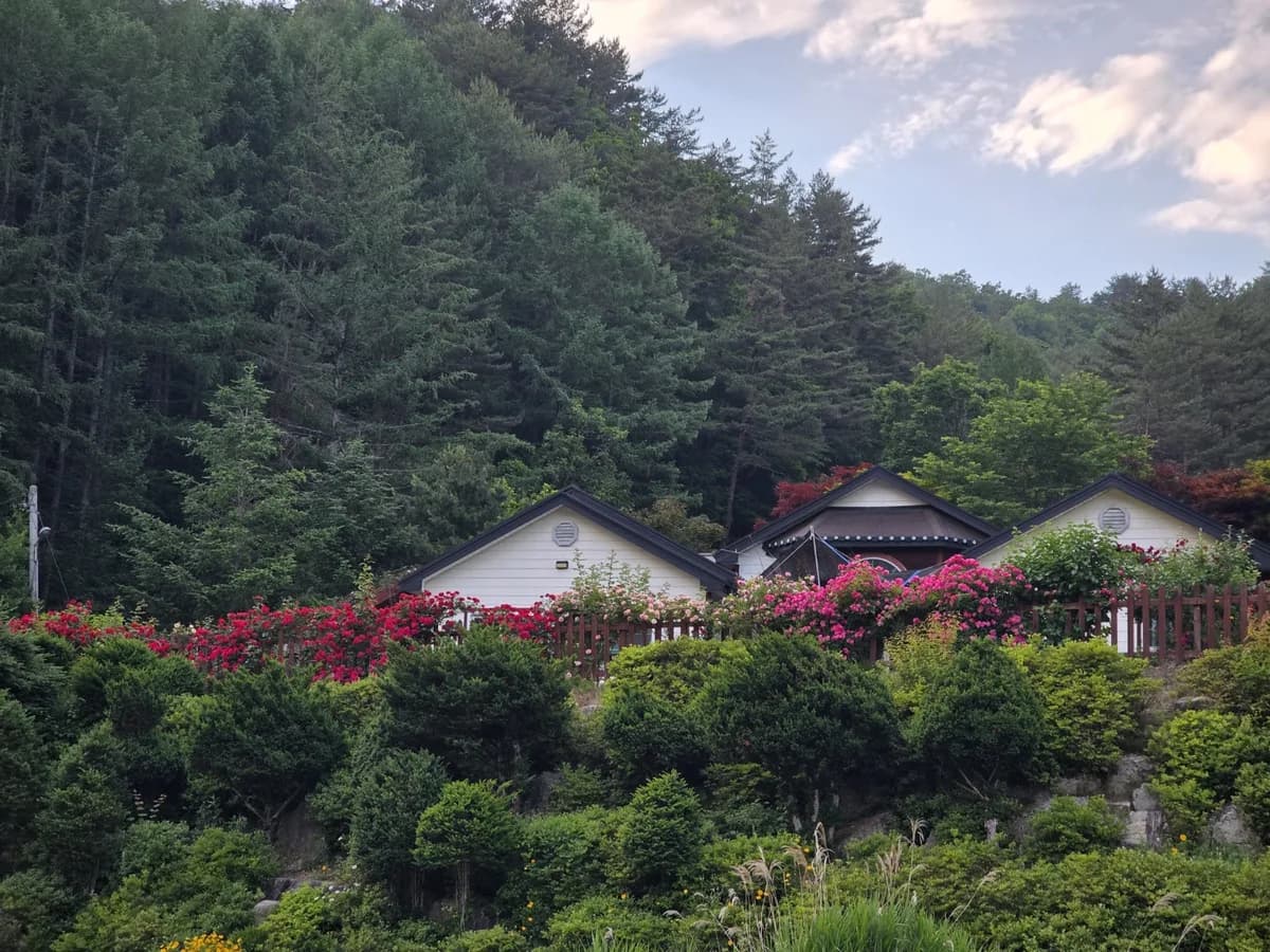 정선효도마을 이미지 1