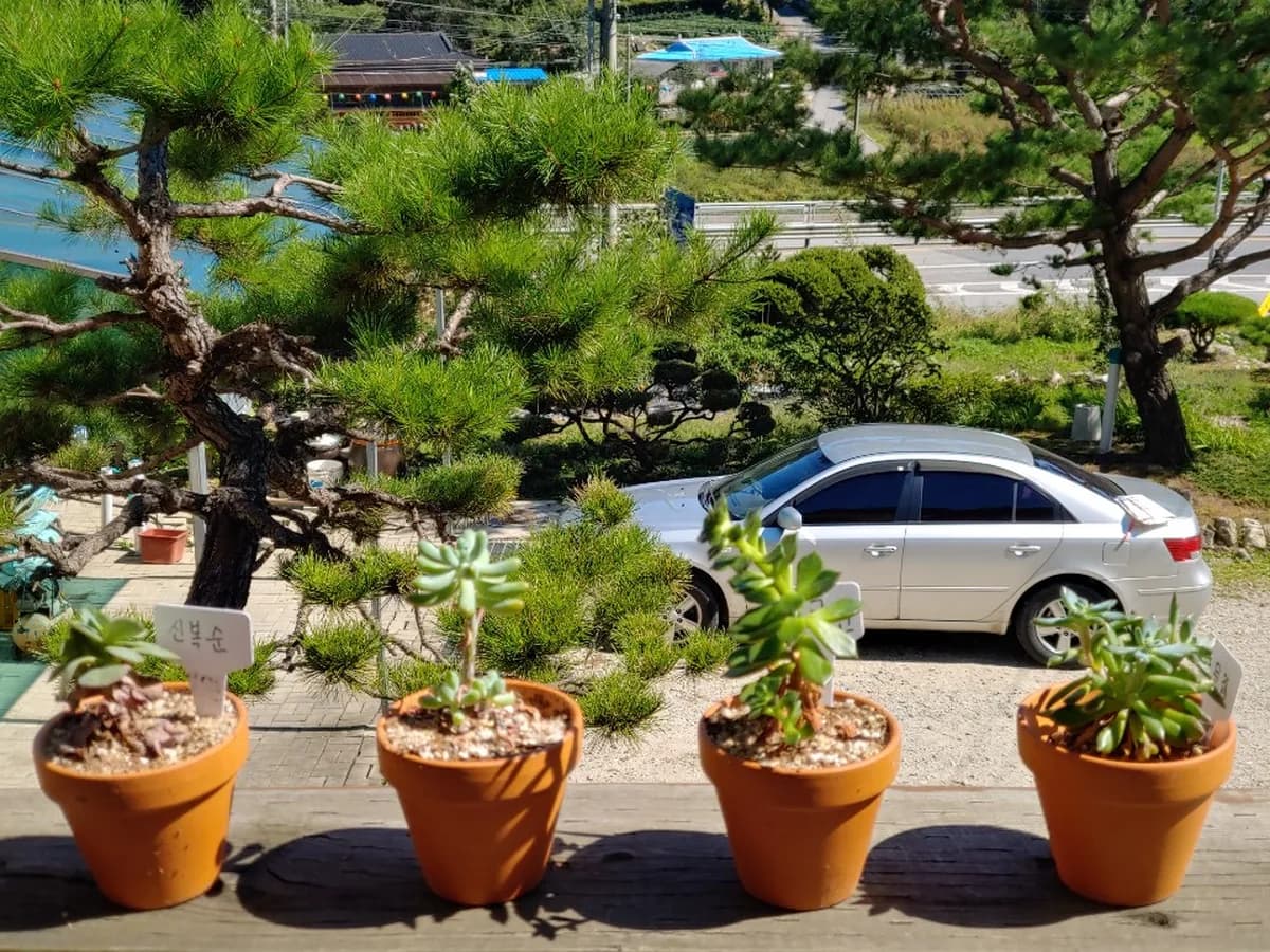 박달재요양원 이미지 1