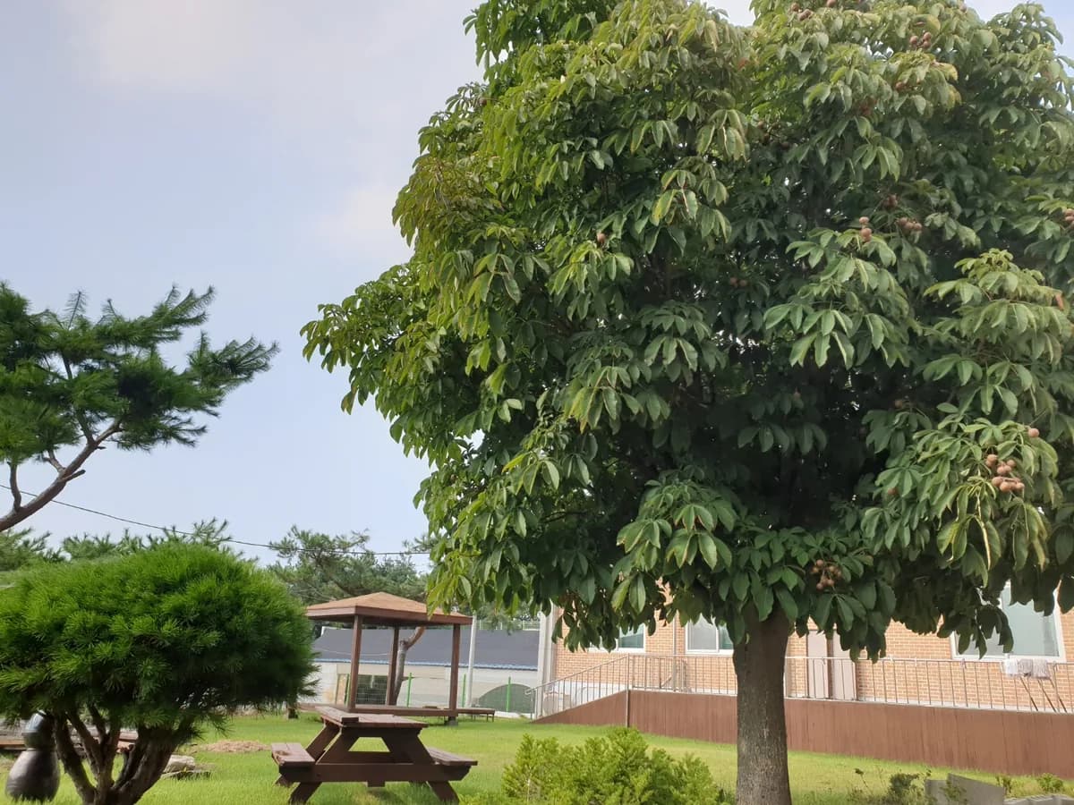 부모사랑요양원 이미지 2