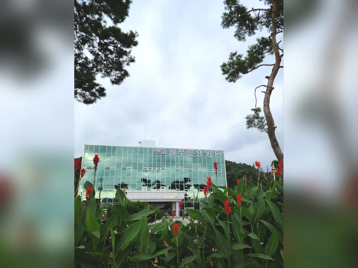 늘푸른요양원 이미지 8