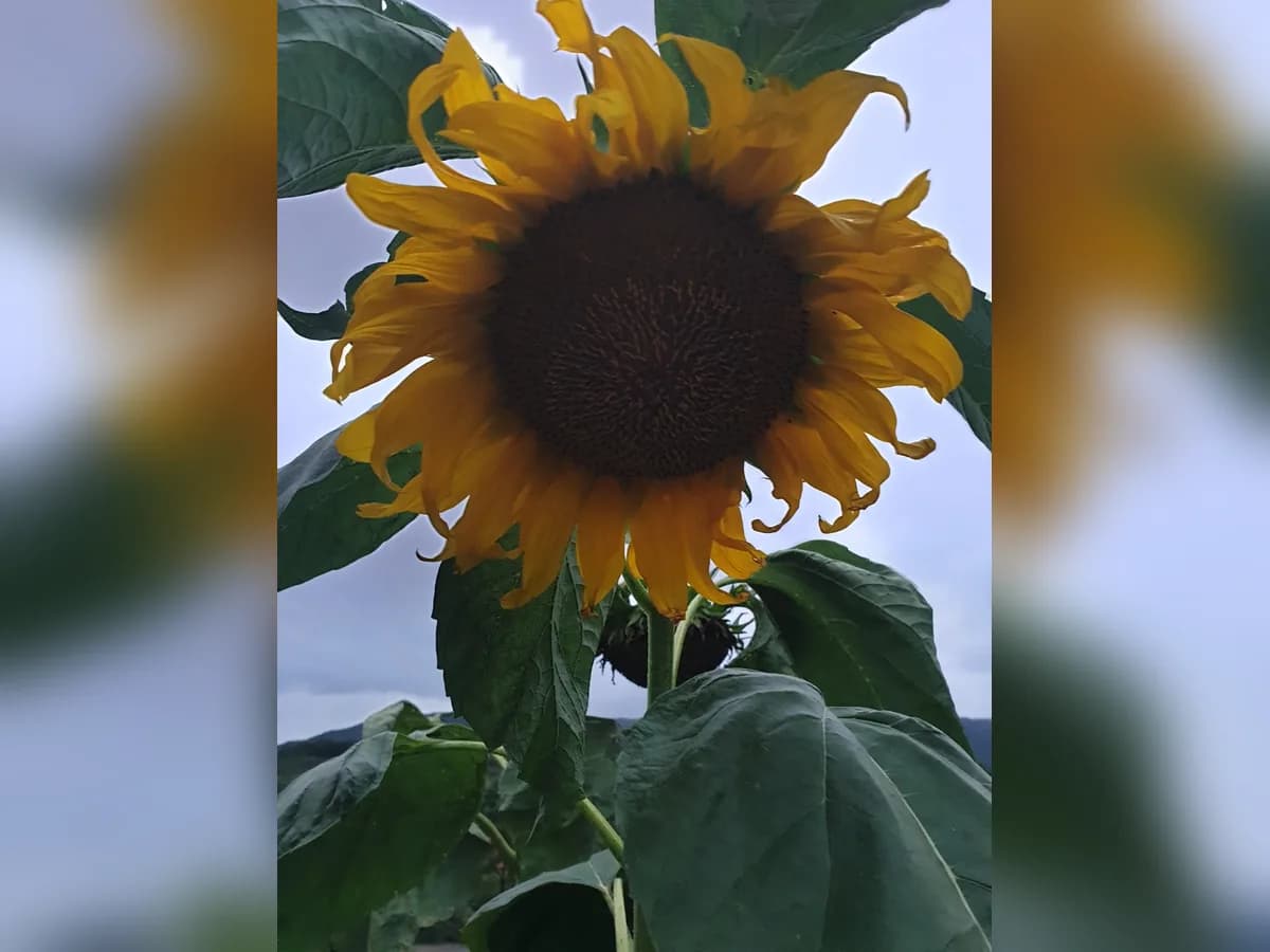 보금자리요양원 이미지 4