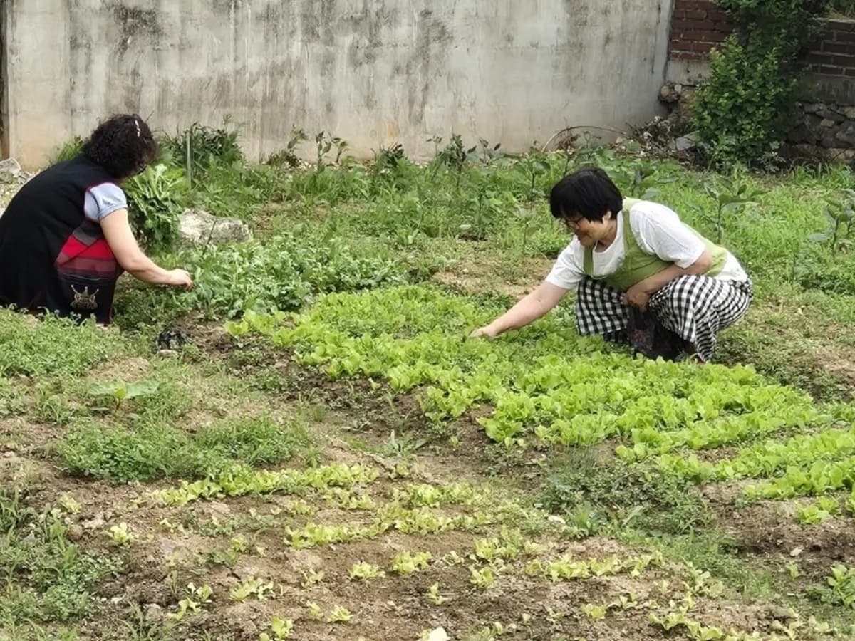 사랑의집 이미지 2