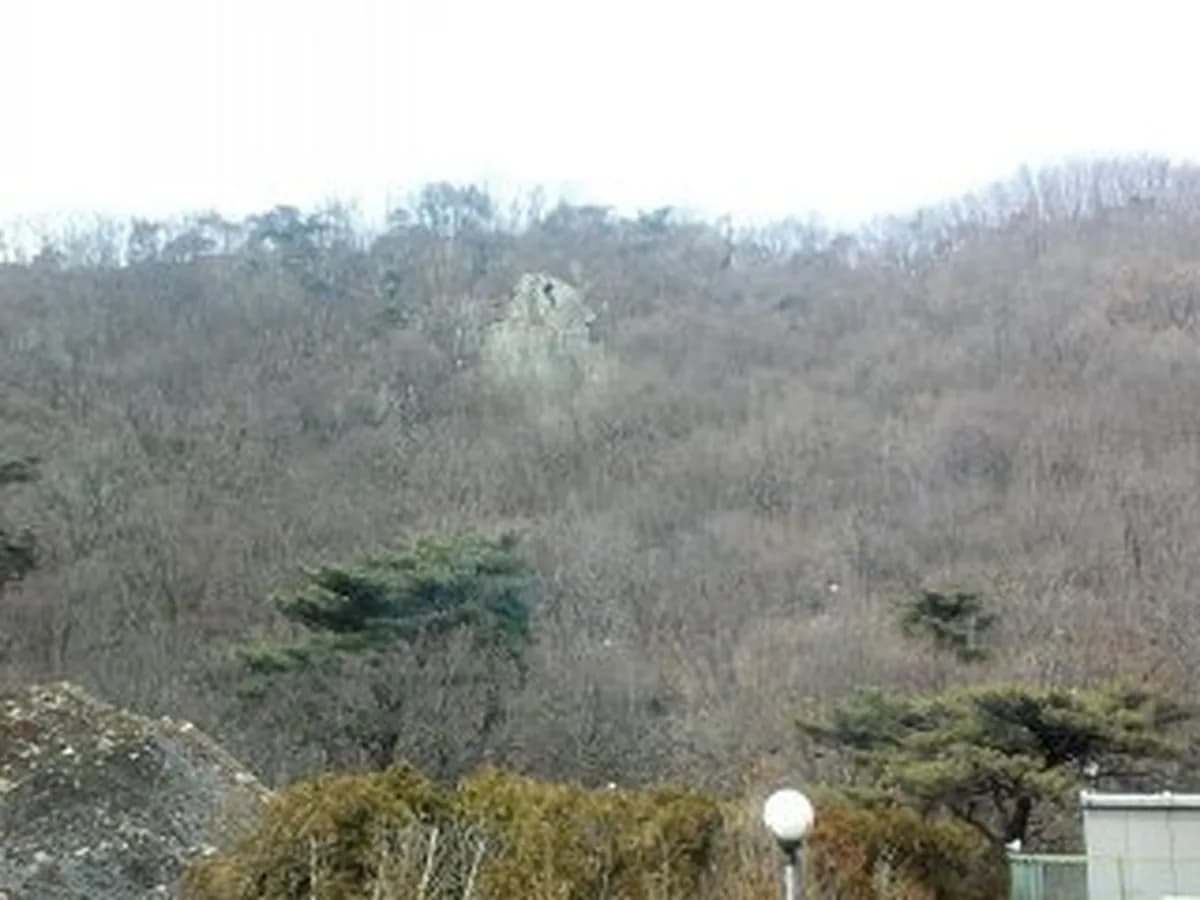 휴드림요양원 이미지 6