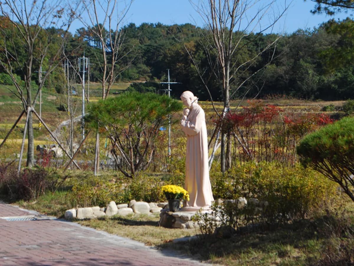 성모전문요양원 이미지 6
