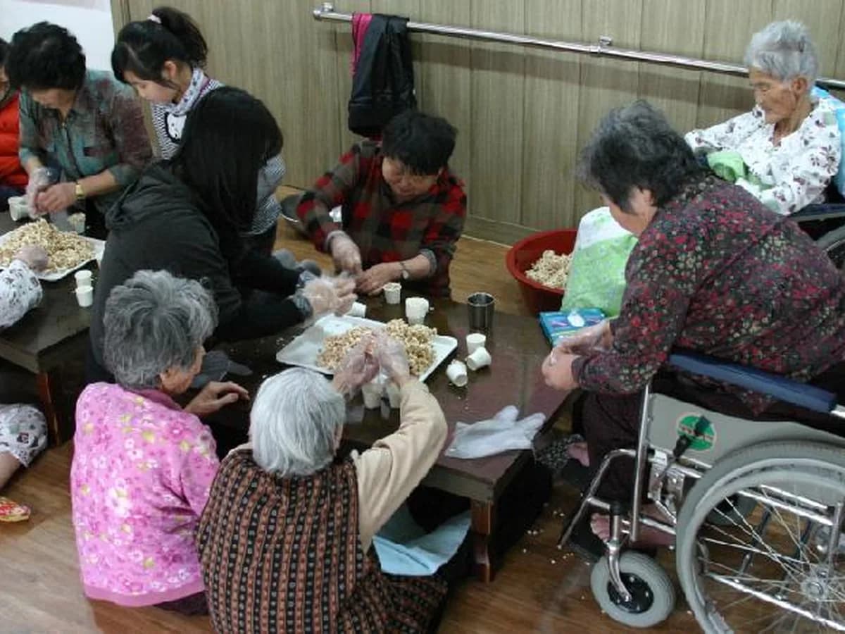 느티나무 이미지 1