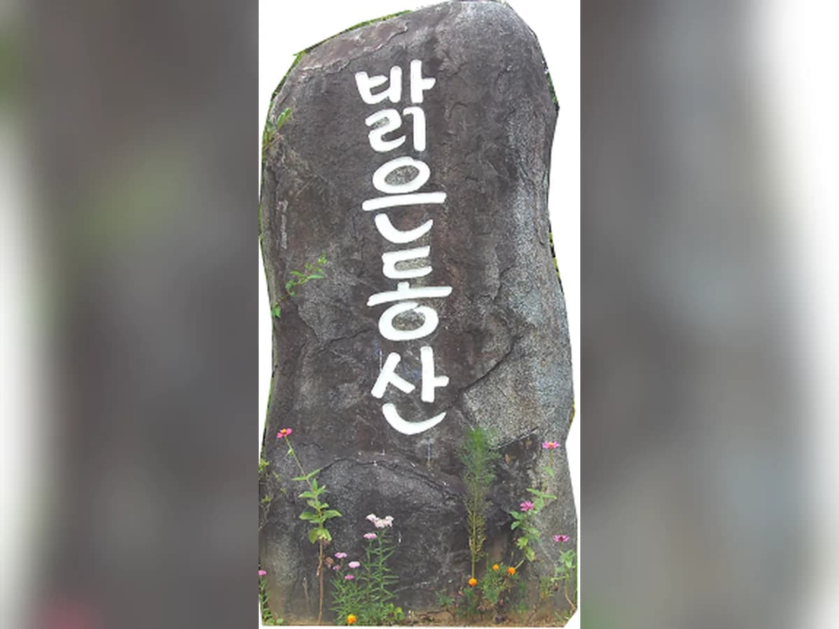 보성군립노인요양원밝은동산 이미지 4