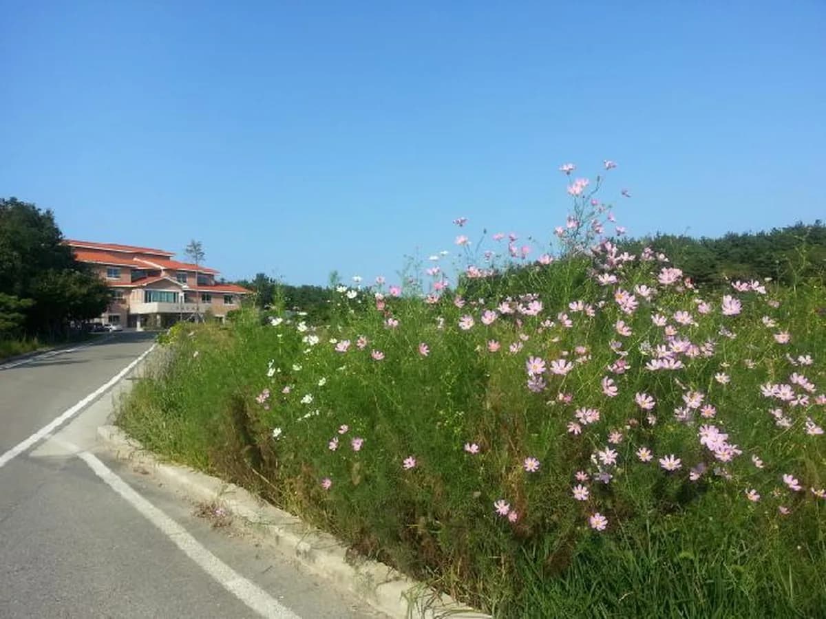 엘림 실버빌 이미지 6