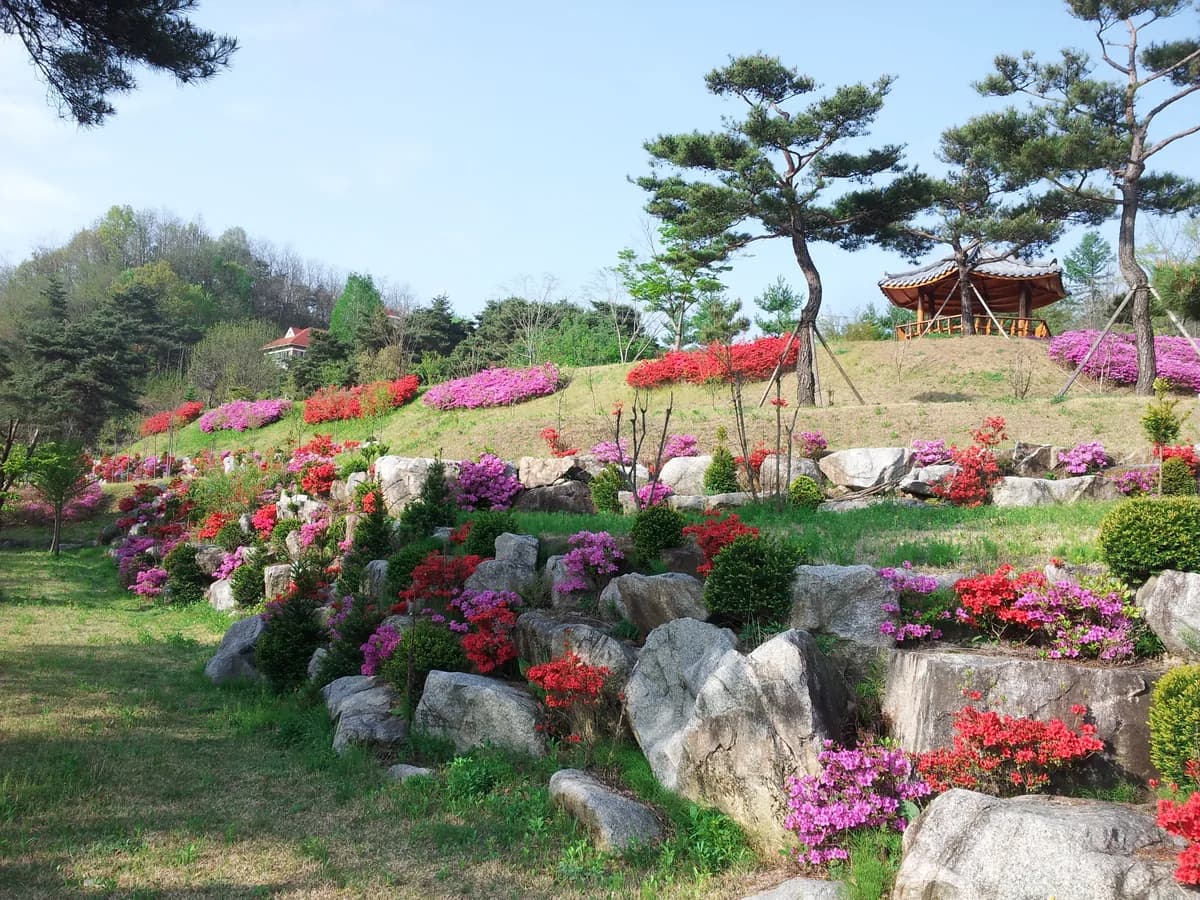 이당원 이미지 6