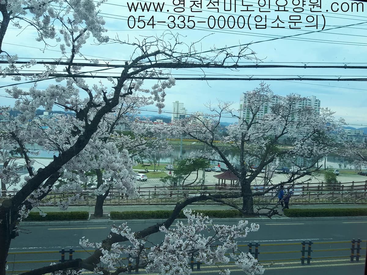 영천석미노인요양원 이미지 1